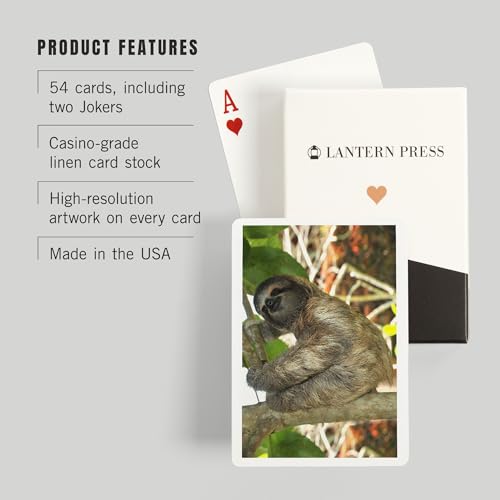 Baraja de 52 cartas Poker para adultos Sloth in Tree miniatura 3