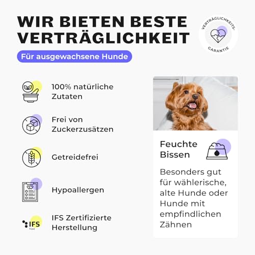 HEY HOLY Premium Nassfutter für Minis | 6X 400g Hundefutter für ausgewachsene Minis mit Huhn | Hochverträglich aus natürlichen Zutaten