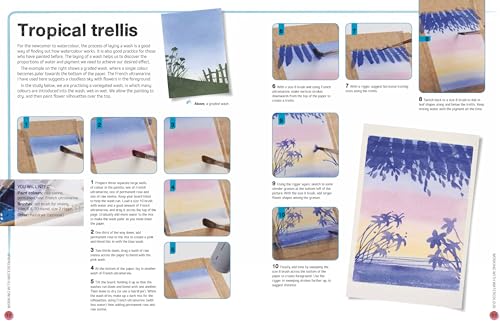 Ready to Paint in 30 Minutes: Flowers in Watercolour