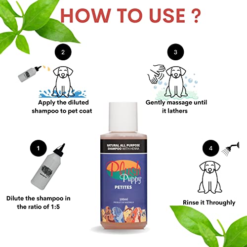 Image of PLUSH PUPPY Dog Shampoo For Short Coated Breeds, Shinny Coat Maintains Overall Skin Health Paraben Free No Artificial Fragrance All Purpose Shampoo With Henna 100 Milliliter