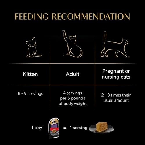 Sheba Perfect Portions Pate Wet Cat Food, Tender Beef, 2.6 oz. - image 6