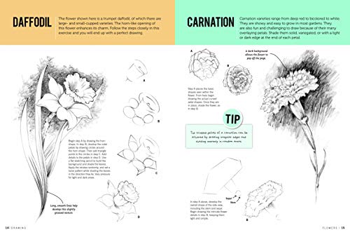 Drawing: Flowers with William F. Powell: Learn to Draw Step by Step