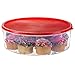 Zilpoo 2 Pack Plastic Round Food Storage Containers with Lid, 10.5