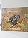 Wild Bird Photography: National Audubon Society Guide