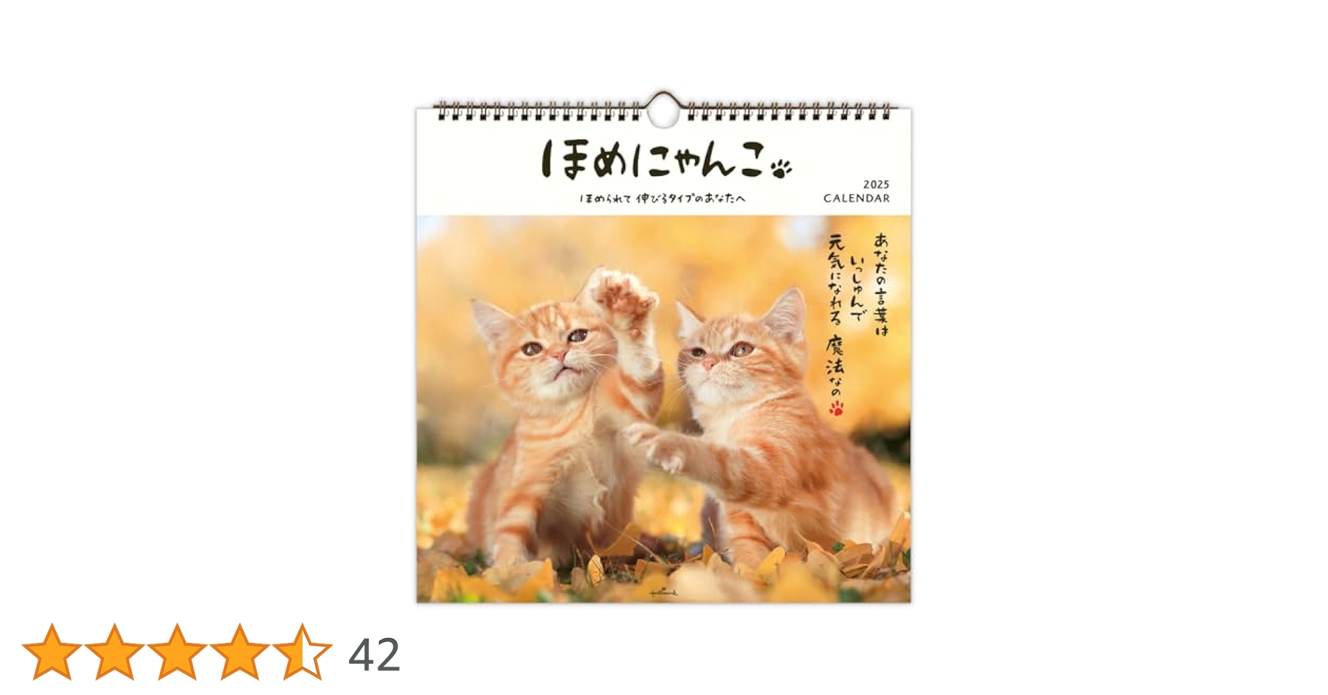 Amazon | ホールマーク 2025年 カレンダー 壁掛け 大 ほめ
