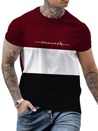 Floerns Men's Letter Print Short Sleeve Colorblock Crewneck Casual Tee Shirt