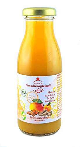 Ingwer-Kurkuma LONG SHOT Smoothie- 12 x 250 ml - aus 100% Bio Direktsaft Cover