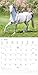 Alpha Edition - Horses 2025 Brochure Calendar, 30 x 30 cm, Wall Calendar with Space for Notes and Appointments, Impressive Motifs of Horses, Monthly Overview and Holiday Dates DE/AT/CH