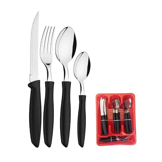 Jogo 25 Talheres Faqueiro Inox Com Porta Talher Organizadora (Preto)