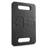 Philosophy Gym Cast Iron Ruck Weight - 35 LB Weighted Fitness Plate with Handle