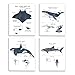 VIIJJUE Whale Shark Decor Wall Art Prints Set of 4, Shark poster, Ocean Beach Room Decor posters, Ocean Marine Life Educational Wall Art for Classroom Bathroom Living Room, 8x10 Inches Unframed