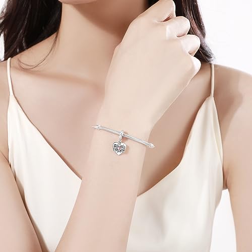 Birthstone Charms 925 Sterling Silver Charms Fit Pandora Charms Bracelet Fit Wife Mother's Day Christmas Birthday Gift4