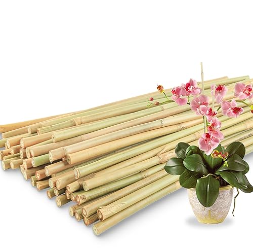 50Pcs / 18 inch Bamboo Plant Stakes for Indoor Outdoor Plants, Garden Plant Support Sticks, Poles...