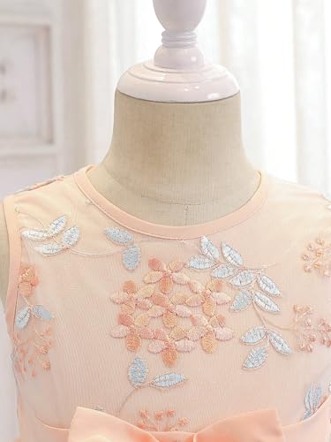 Image of Tagas Girls' Princess Dress | Girl Dress |Dresses birthdaydress for Babygirls | A-Line Knee-Length Dress