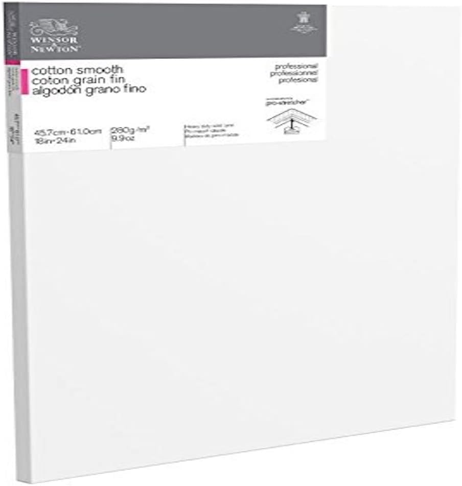Winsor & Newton 16 x 20-Inch Professional Cotton Smooth Canvas (Pack of 1)