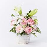 仏花アレンジ Mサイズ フラワーアレンジメント ブーケ 仏花 花 お彼岸 秋彼岸 お供え 花 仏花 お悔やみ 命日 生花 あす楽 お盆 初盆 新盆 法事 仏事 一周忌 祥月命日 月命日 初七日 四十九日 告別式 お通夜 花束 生花 (ピンク)