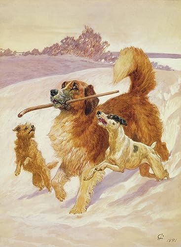 Toile trois chiens dans la neige John Charlton impression grand format 58x90