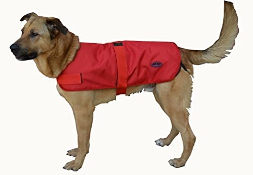 Outback Jack Dog Coat - Large Red