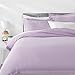 AmazonBasics Microfiber Duvet Cover Bed Set, Lightweight and Soft, Full / Queen, Frosted Lavender