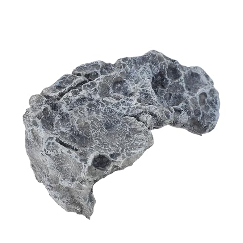 YARNOW p^[goXLOvbgtH[ ͑NC~OXg[ ঒ނ̓eX CeA