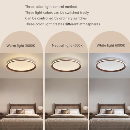 Lampe de plafond LED simple protégeant les yeux contre la fatigue visuelle - 2