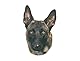 Nobby 93269 Aufkleber Malinois