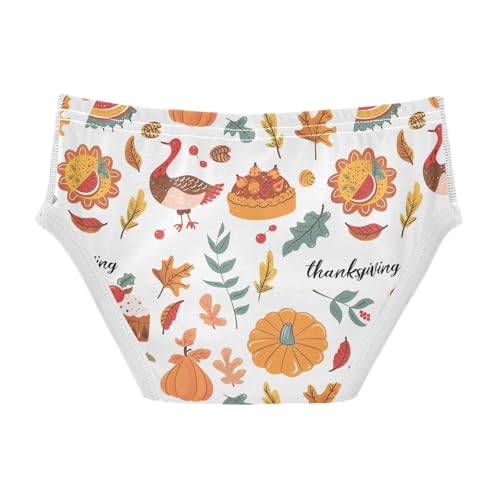 visesunny Boys Cotton Underwear Thanksgiving Food Turkey Printed Toddler Soft Training Briefs Size 2T-8Y for Kids2