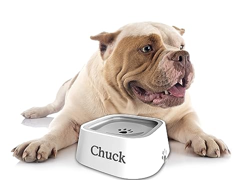 Écuelle gravée sur demande anti-dérapante chien et chat