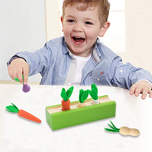 ONEST 4 Sets Wooden Montessori Toys for Toddlers Age 1-3, Carrot Peanut Onion Vegetable Harvest Shaped & Size Matching Game Fine Motor Skill Wooden Toys, Baby Preschool Learning Best Gift - Thumbnail 7