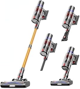 Aspirateur sans Fil 550W 55 000 Pa La Bête Noire