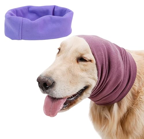 pXJ[t pC[}t ybgC[}t 2 { ۉ ጸ _炩  ~ e U ybgp (C,M)