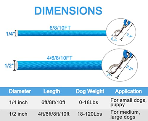 Maypaw 4Ft/6Ft/8Ft/10Ft Dog Leash, Classic Solid Colors, Durable Mountain Climbing Rope Dog Leash Reinforced With Leather Tailor Connection Heavy Duty Silver Clasp (Blue, 10 Foot) #TOP4