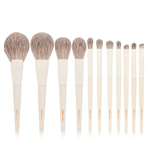 Anmor 11pcs Makeup Brushes, Premium Makeup Brush Set for Powder Blush Highlighter Eyeshadow Blending Crease Detail Makeup, Upgraded Makeup Brushes Kit with Soft Nano Micro Crystal Fiber Anmor 11pcs Makeup Brushes, Premium Makeup Brush Set for Powder Blush Highlighter Eyeshadow Blending Crease Detail Makeup, Upgraded Makeup Brushes Kit with Soft Nano Micro Crystal Fiber