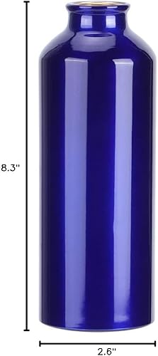 Miniatura 10 de MAVIS LAVEN Botella de agua deportiva de 16.9 fl oz25.4 fl oz, botella de agua de aluminio de gran capacidad para gimnasio, fitness, ciclismo,