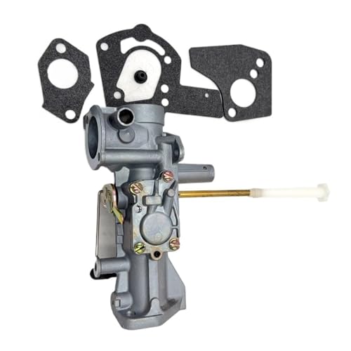 Carburateur P19 réparer moteur en panne Br St 135217 motoculteur de jardin