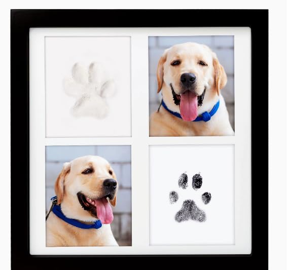 Kit de huellas para perros y gatos ideal para regalar un recuerdo inolvidable de tu mascota