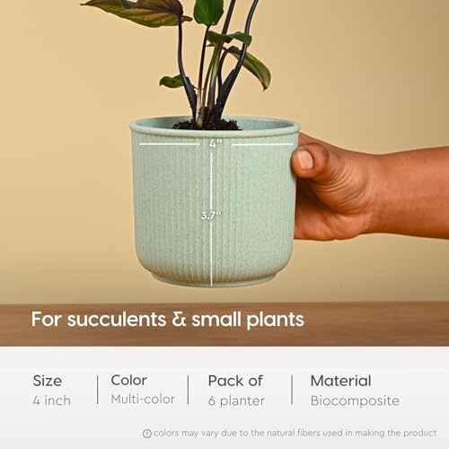 Image of Eha Earth Friendly Statement Pot 4 Inch Pots and Planters Set of 6 |Table Top Planters| Bamboo Based, UV Protected | Planter for Indoor & Balcony Window Flower Pots | Multicolor