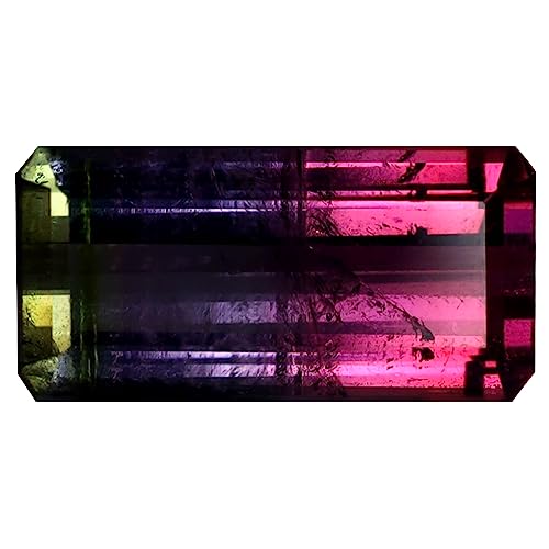 Tourmaline pastèque naturelle 14x7mm octogone d'exception pour création de luxe