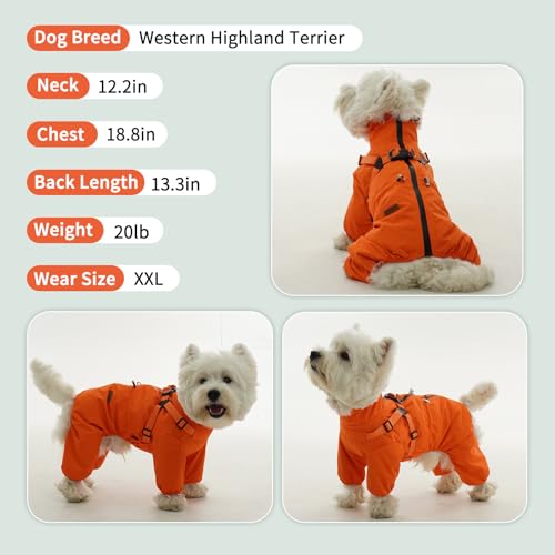BRKURLEG Hunde-Regenmantel für kleine und mittelgroße Hunde, Regenmantel für kleine Hunde mit integriertem Geschirr, 4 Beine, Orange, Größe M