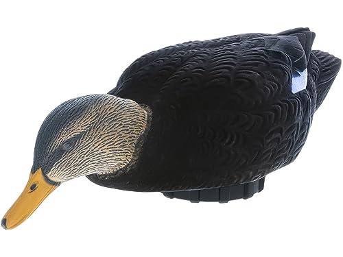 Avian-X Power Shaker Black Duck Surface Feeder Floating Duck Decoy - Durable Foam-Filled Realistic Lifelike Waterfowl Hunting Motion Decoy