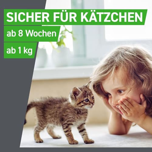 FRONTLINE Combo Katze gegen Zecken, Flöhe & Haarlinge - für alle Größen