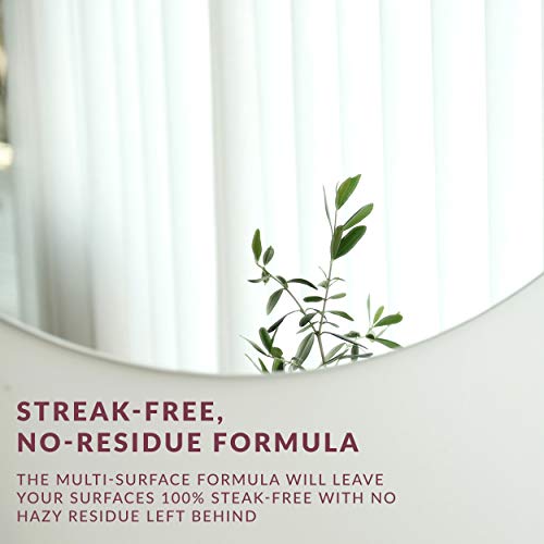 Hope's Perfect Glass Multi-Surface Purpose Household Spray, Kitchen Countertop Degreaser, Bathroom Shower And Sink Cleaner, Streak Free, Pack Of 1 (32Pgm12), Black #TOP2