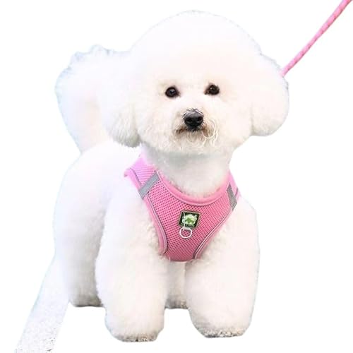 xXg^p[h ^irVt[[EeB[hE|jAj qEcpn[lX Up[hẼ`F[ (F,1E5 [g M)