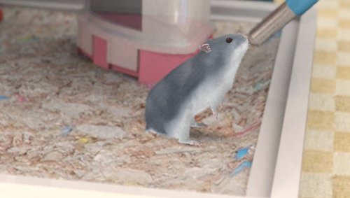 Ubisoft 0008888335153 Petz Hamsterz Bunch - Sony Psp thumb #4