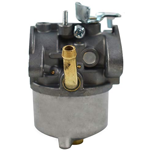 Carkio Vergaser Für Briggs & Stratton - Rasenmäher Vergaser Mit Dichtungen