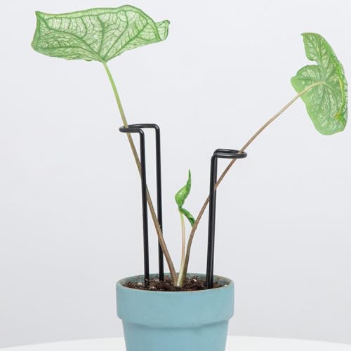 GOOOXIM 10 Pack Indoor Plant Support for Monstera Trellis Stakes and Stem Holder - Perfect for Small Indoor Plants Desktop Gardens & Flower Shelf Use Easy to Set Up and Efficient Support