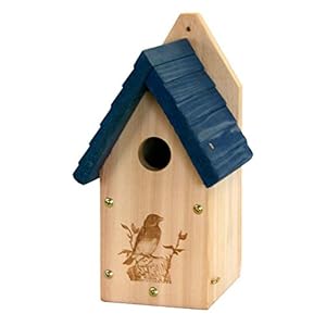 Woodlink Holz Bluebird Vogelhaus