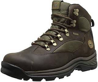 Timberland Men's Chocorua Trail Mid Waterproof Snow Shoe, Brown/Green, 10 D - Medium