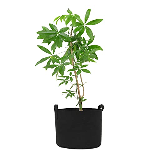 20 Gallon Grow Bags - 5 Pack Plant Grow Bags, Extra Large Fabric Pot With Handles, Portable Outdoor Vegetable Planters Bulk, Great Raised Bed Alternative For Patio, Deck, Growing Vegetables, Gardening #TOP5