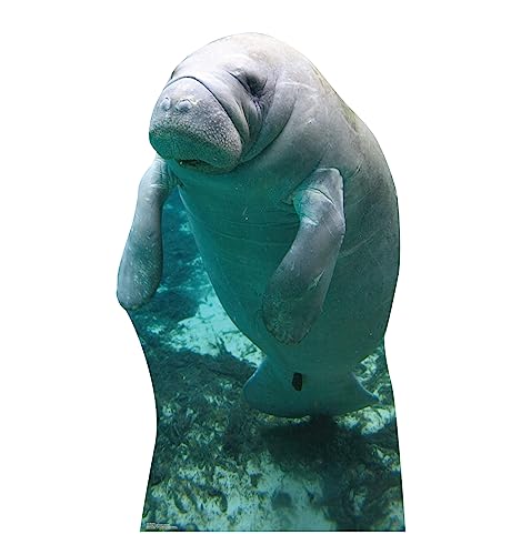 Cardboard People Manatee Cardboard Cutout